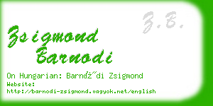 zsigmond barnodi business card